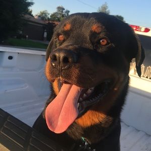 Meet your Posher, Felicity